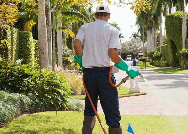 About Hickory Hills IL Pest Control